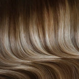 The Signature Clip-Ins